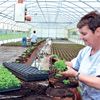 LA GÉOTHERMIE FAIT SON TROU DANS L’AGRICULTURE